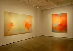 The Elements installation view